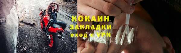 дживик Абинск
