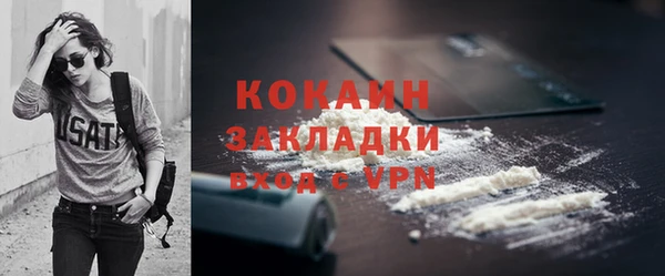 дживик Абинск