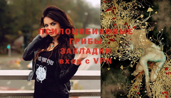 дживик Абинск